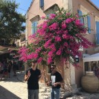 4. Lightning Storm and Birthday Party