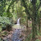 60. Hibernating in Grenada