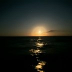 76. A Month On My Own